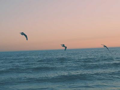 blog5
